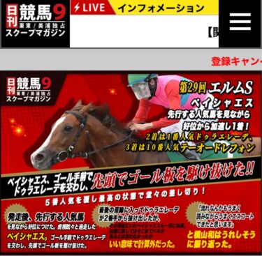 日刊競馬９の特徴